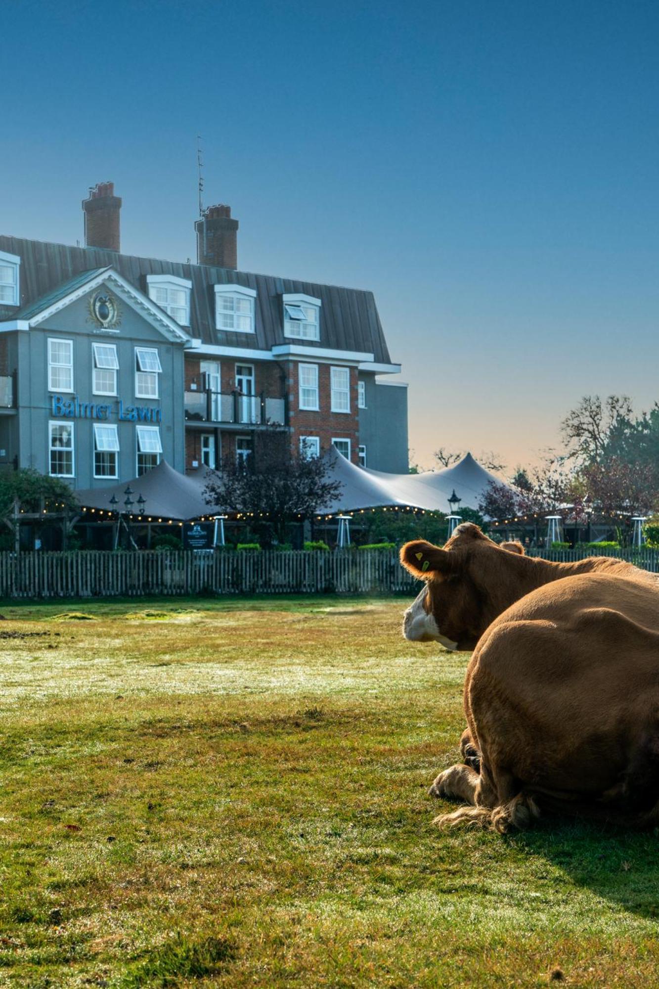 Balmer Lawn Brockenhurst Exterior photo